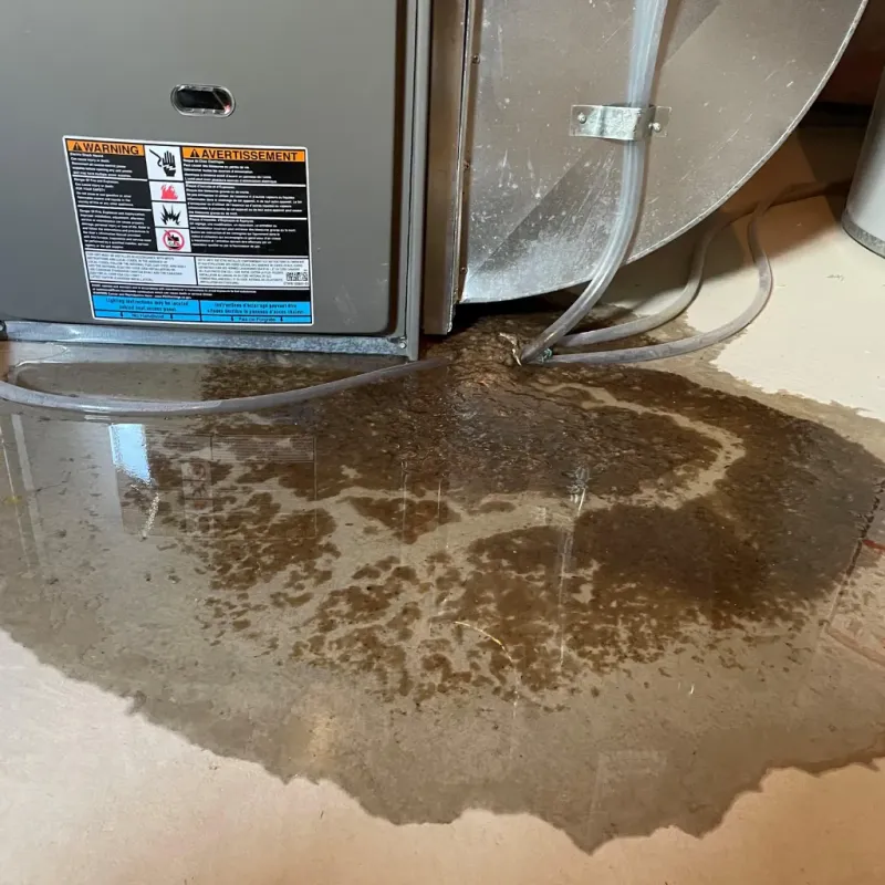 Appliance Leak Cleanup in Chambers County, AL